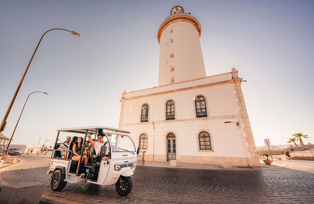 Malaga 1 hour private city tour by Tuk and Flow