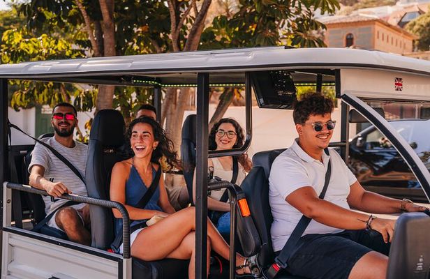 Private tour Valencia 1 hour explores the city by Tuk and Flow