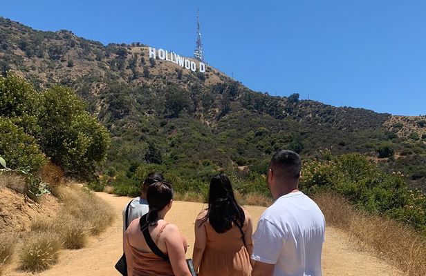 The Real 3 hour VIP Tour with Stops and Photos 