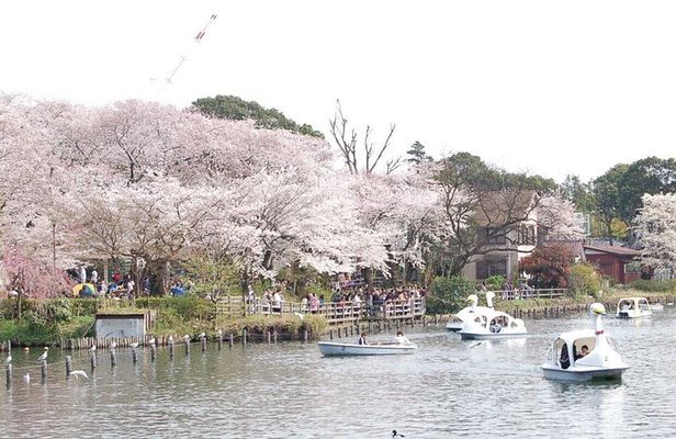 Let's take a walk in the park together!!!