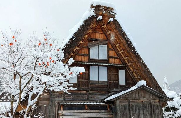 Private Tour From Kanazawa to Takayama and Shirakawa-go