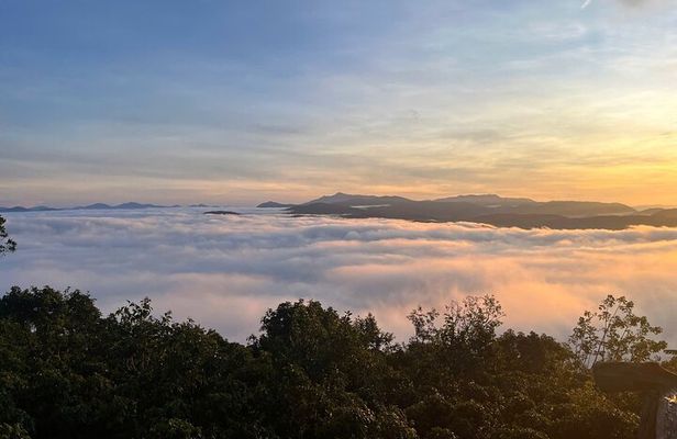 Da Lat Cloud Hunting Tour with Local Breakfast