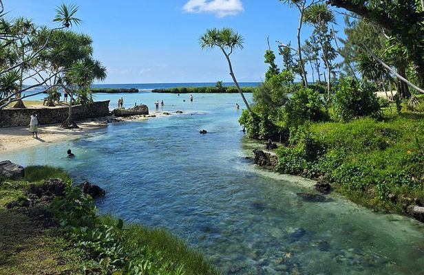 Half Day Tour at Eton Beach and Blue Lagoon with Lunch at Turtles