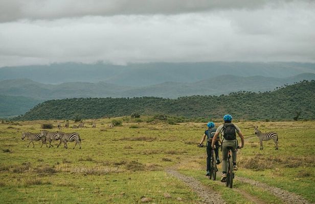 Hells Gate National park using Electric bike & Lake Naivasha