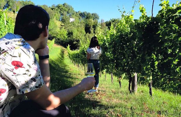 Winery Tour and Tasting 4 wines at Cantina Le Macchie near Rome