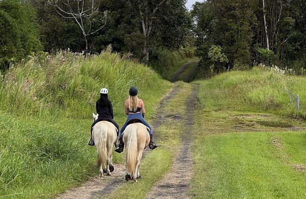 Small Group Rainforest Trail Ride