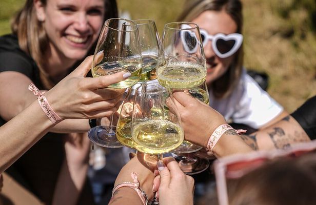 Picnic and Lugana Tour at Perla del Garda winery