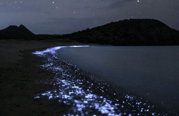 Bioluminescent Plankton Kayak Boat Tour