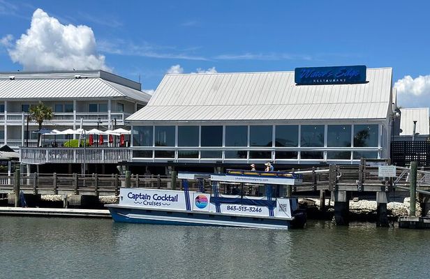 Afternoon Charleston Harbor Boat Cruise: Family Friendly Scenic