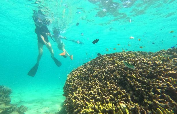 Snorkeling in Okinawa: Private booking