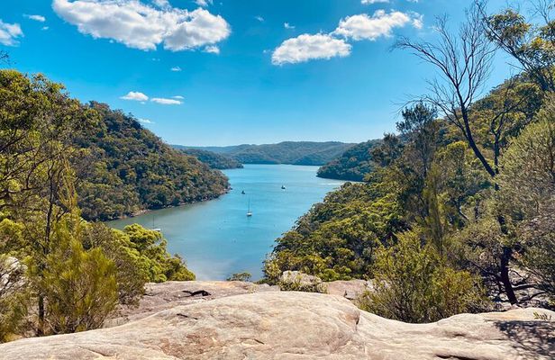 Sydney: Ku ring gai National Park Hike with Beach and Picnic