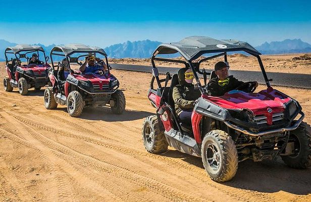 Spider Car Buggy Desert Adventure with Camel Ride from Marsa Alam