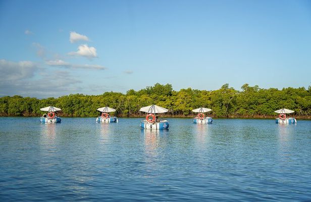 Denarau Self-Drive BBQ E-Boat Cruise-Price Per Boat (2–6 Guests)