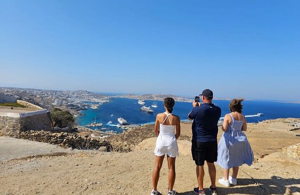 Mykonos Island Private Tour | Explore Like a Local in 4 Hours