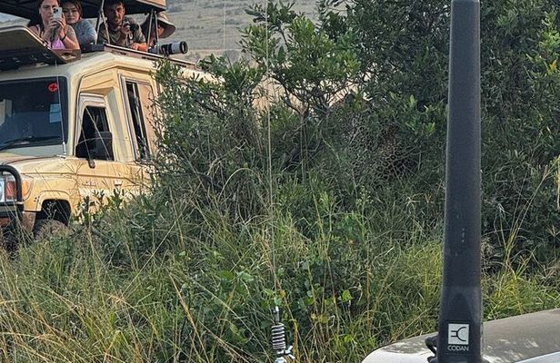 4 Days Masai Mara and Lake Nakuru Group Joining Safari