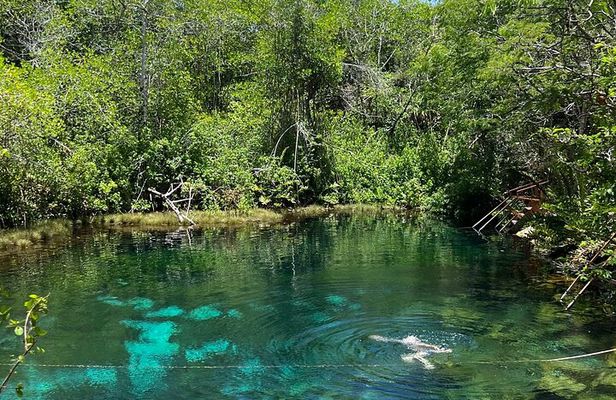 Private Cenote Tour: Dos Ojos, Jaguar & Nicte-Ha
