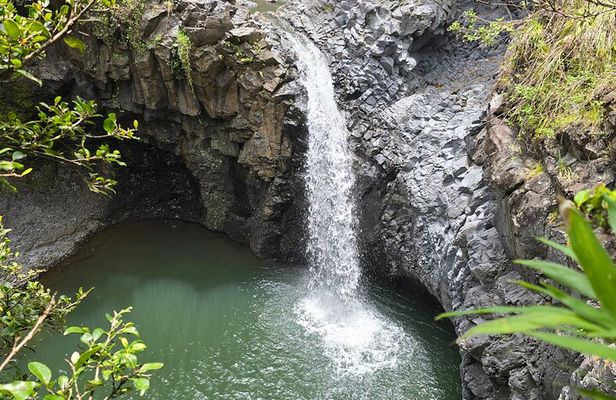 Private Road to Hana Tour with Pickup-Ultimate Package, Backside