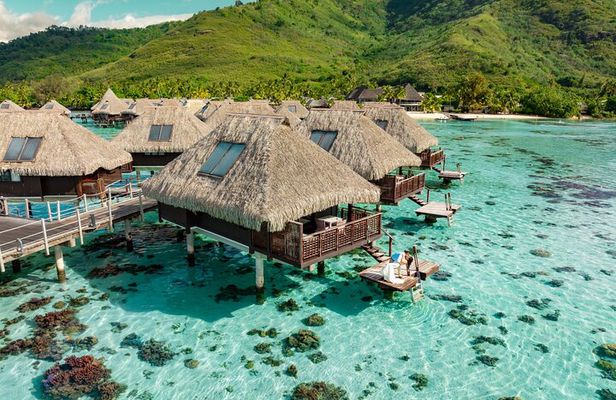 Private Photo Session on The Island of Moorea