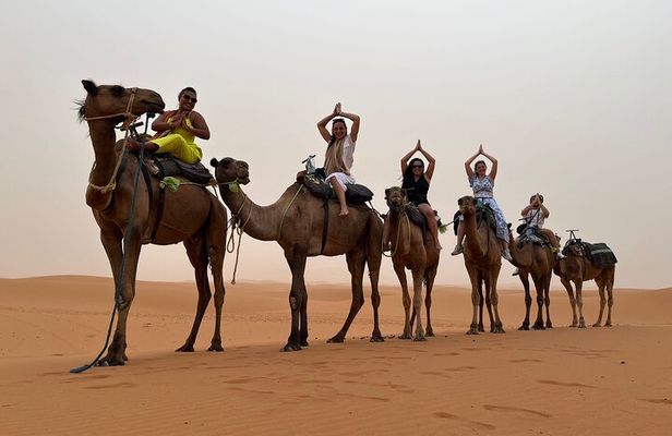 LET'S GO Tour MARRAKECH to DESERT TO FES 3 Days