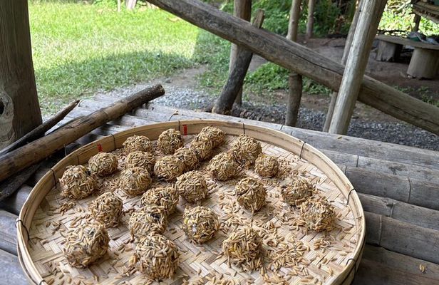 Smile Elephant Chiangmai (Half day Visit)