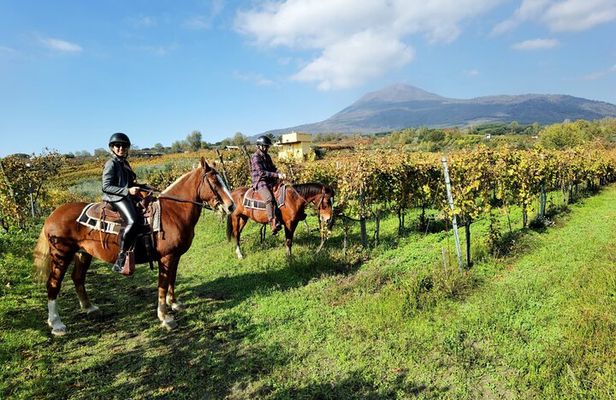 Horseback Riding on Mt. Vesuvius with Wine Tasting and Dinner