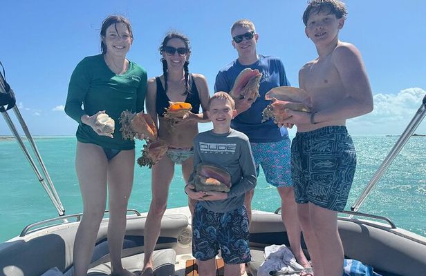 4 Hour Cruise & Snorkeling Experience