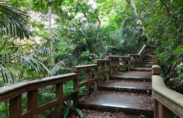 Ishigaki Island Shore Excursion, Trails and Scenic Spots