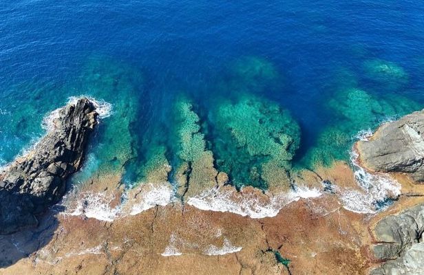 All-Inclusive Ishigaki Island Shore Excursion with English Guide