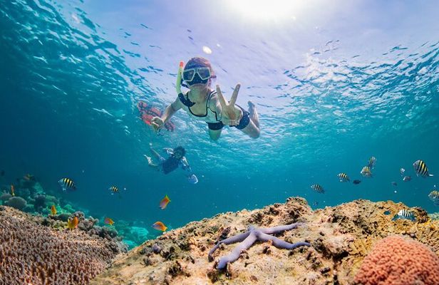 Half day Tropical Coral Island Snorkeling Tour from Phuket
