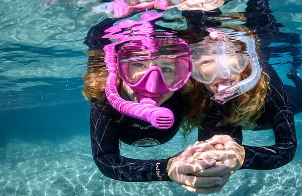 Pre-Season Special Manatee Snorkel Tour in Crystal River