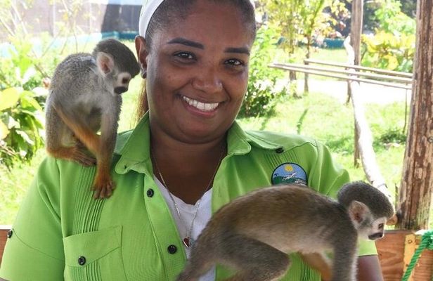 Monkey tour from Amber cove Y Taino bay Puerto Plata