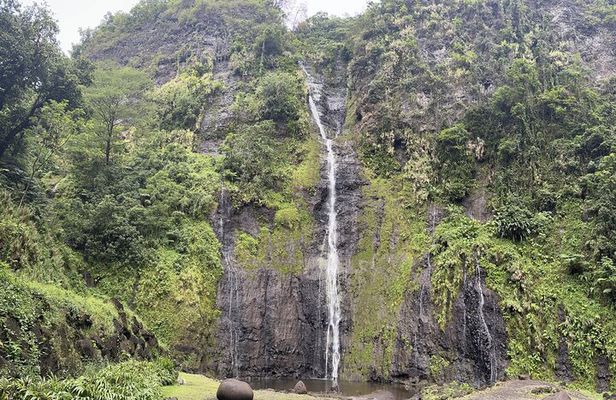 Premium Tour DE Tahiti, EN Half Day Privatised