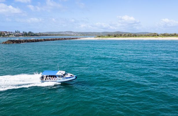 Ocean Explorer Tour from Lake Macquarie