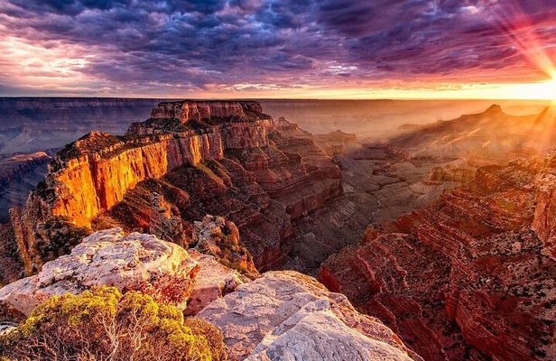 Small Group Grand Canyon, Hoover Dam and Joshua Tree Forest Tour