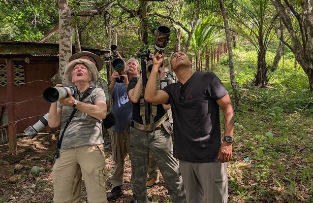 Safari-Bird Photo Tour in Monteverde. PRIVATE!