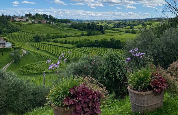 Tour in the Prosecco Hills Tour from Padua
