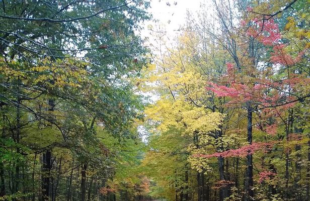 Autumn in Acadia National Park Private Leaf Peeper Driving Tour
