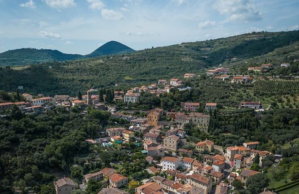 From Padua: Tour to Arquà Petrarca, the medieval village