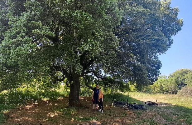 e-MTB Tour - Durrells Farm & Crab Lake [30Km - 18Mi]