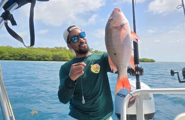 Reef Fishing Tour Trolling and Drop Fishing Trip from Hopkins