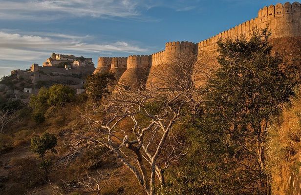 Udaipur to Kumbhalgarh and Ranakpur Day Tour with Wildlife