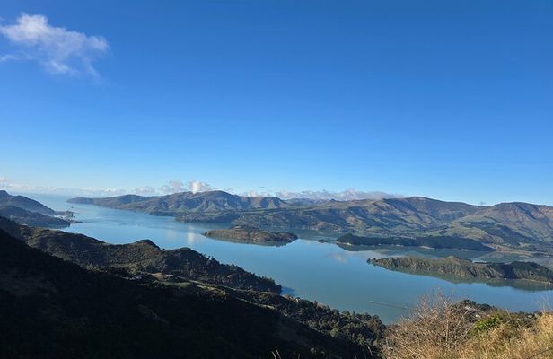 Christchurch Private Tour (Premium) Full day