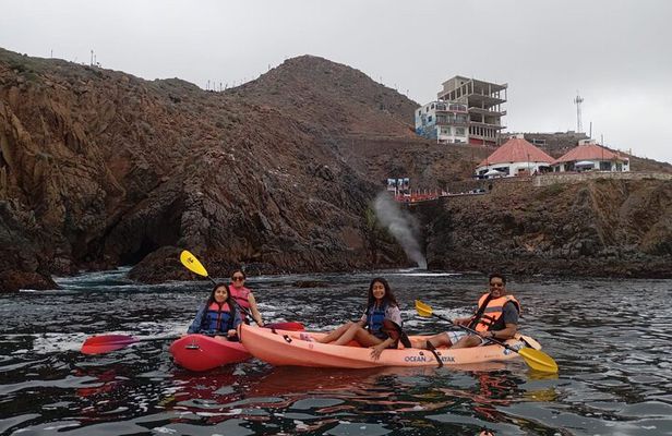 Kayak + : The Blowhole + : Flea market. Private Tour