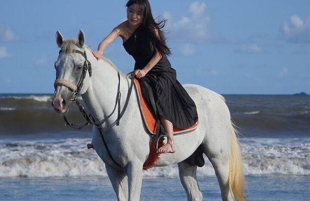 Sunrise Bali Horse Riding Sanur Beach Experience 