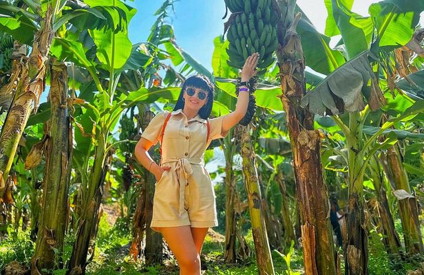 Private Felucca Trip to Banana Island & Private Transfer in Luxor