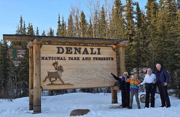 Denali National Park plus Aurora Chase Tour