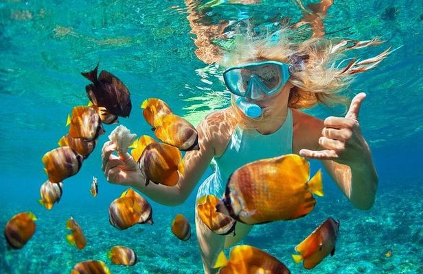 From Sanur or Ubud: Snorkeling at Blue Lagoon by Group Transfers