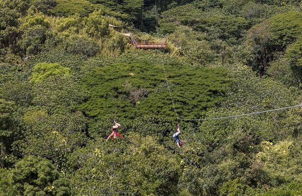 Kipu Zipline, Kayak, and Hiking Safari