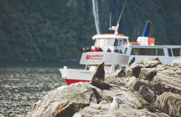 Milford Sound Extended Cruise with Southern Discoveries