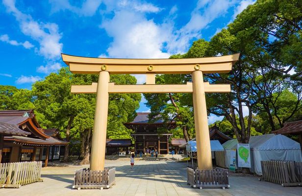 Tokyo Morning Tour Meiji Shrine, Asakusa and Local temple